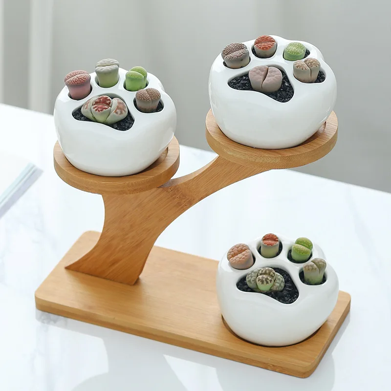 

Simple White Cat Claw Flowerpot Creative Cute Kitten Claw Fleshy Plant Ceramic Treetop Bamboo Frame Combination Potted Plant