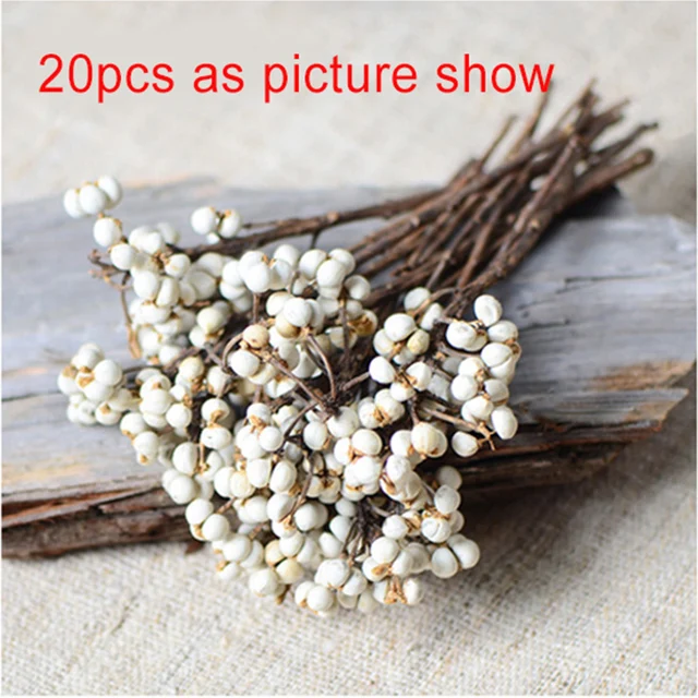 20pcs Cotton Balls Dired Flowers Plants White Fruit Bunch Party Decorative Natural Flowers Wedding Marriage Decoration Accessori white