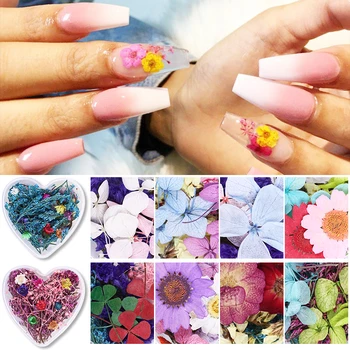 

1 Box Nail Dried Flowers Pink White Yellow Mixed Color Preserved Fresh Flowers 3D Nail Art DIY Design Decoration Tips
