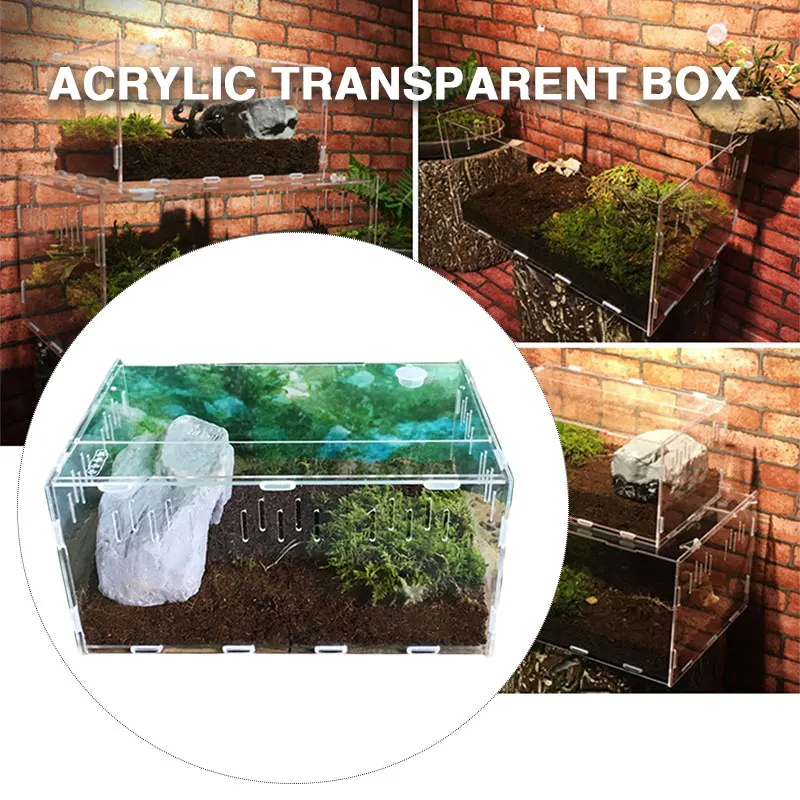 Pet Box Прозрачный домашний декор практичный ящик для рептилий террариум для рептилий акриловых насекомых хладнокровных животных