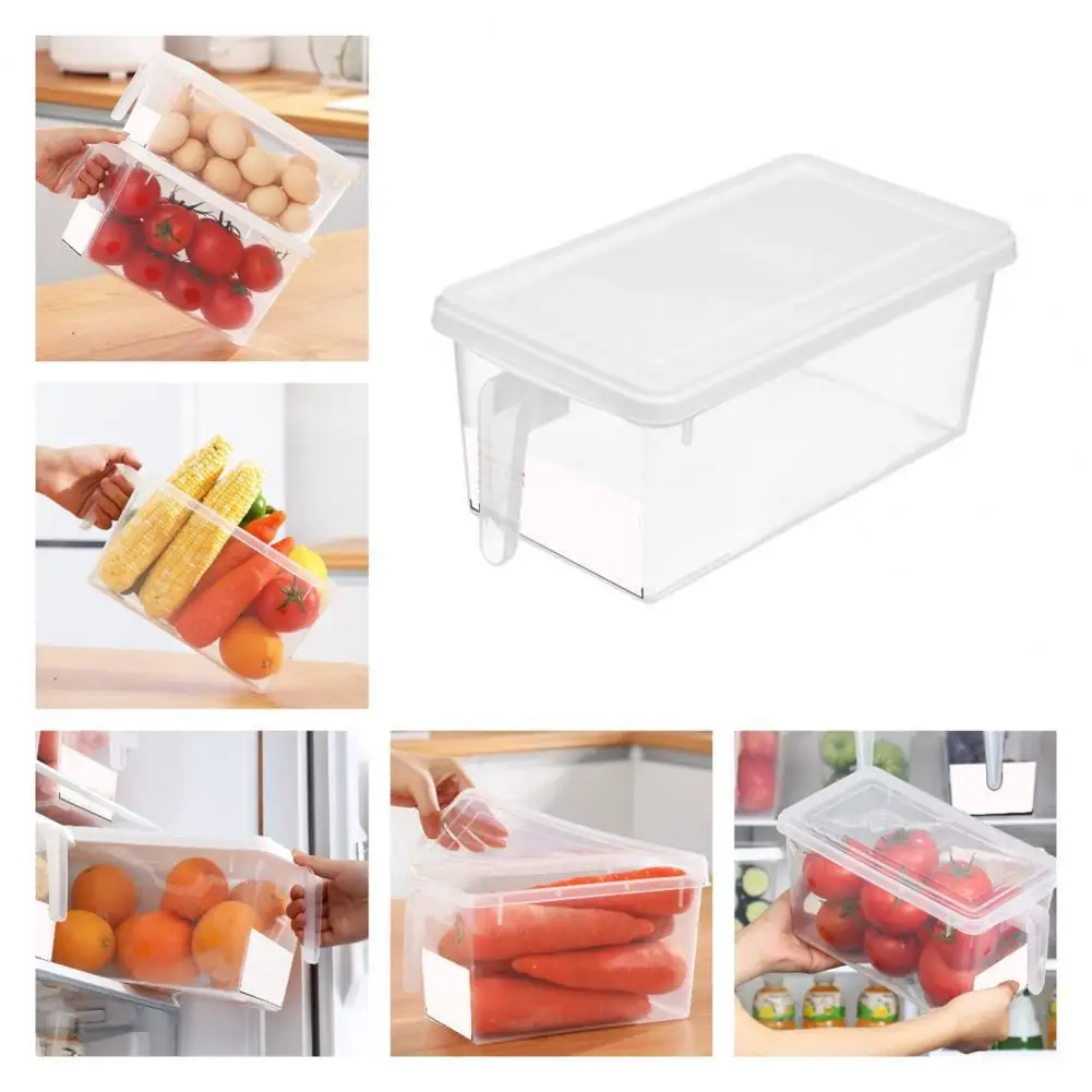 Rectangular Food Storage Container Handle Design PP Refrigerator Storage  Box Large Capacity Transparent Storage Box for Home - AliExpress