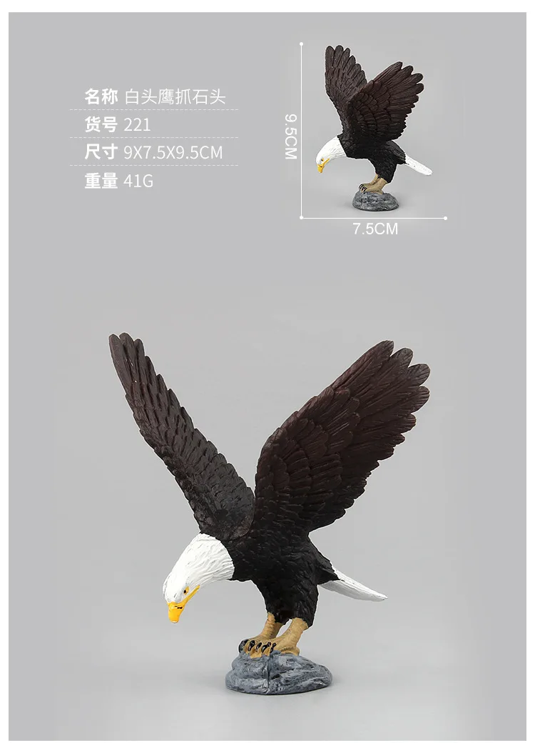 9114936788_920392923