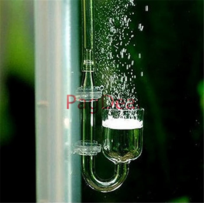 Glass CO2 Diffuser6