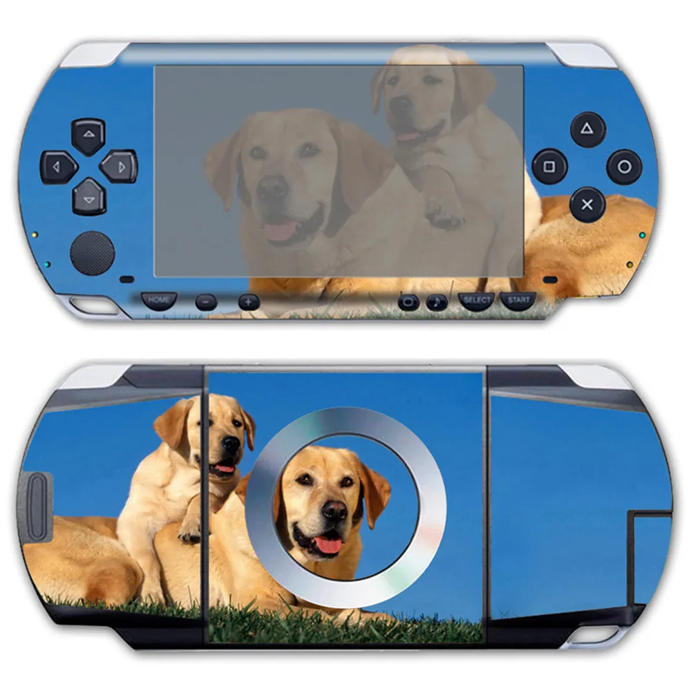 TN-PSP1000-023