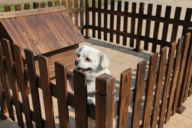 Corralito de madera carbonizada para mascotas, valla de