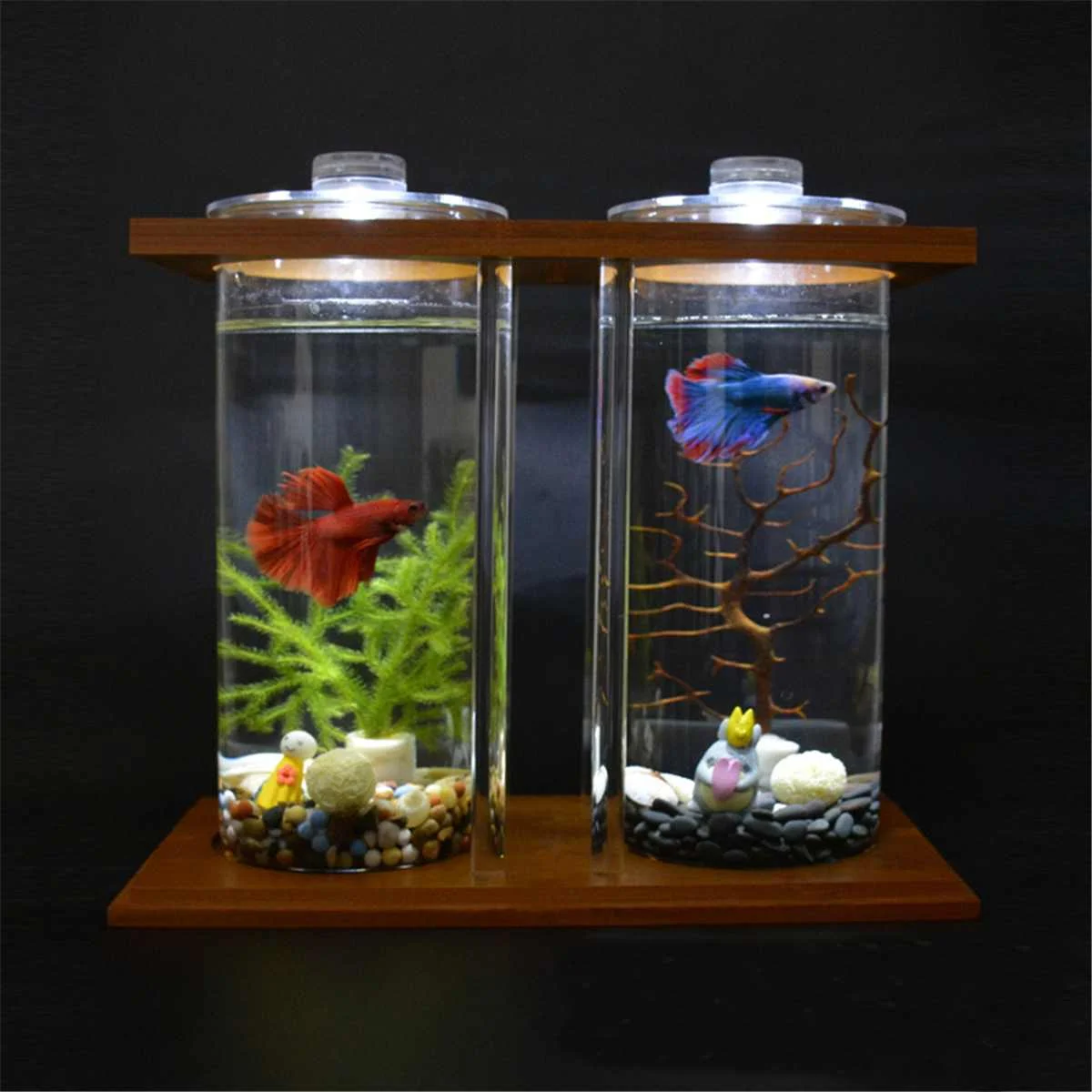 Мини-аквариум из бамбука, мини-прозрачный двойной стеклянный аквариум для растений, светодиодный светильник, золотая рыбка, настольный Ландшафтный декор, аксессуары для аквариума