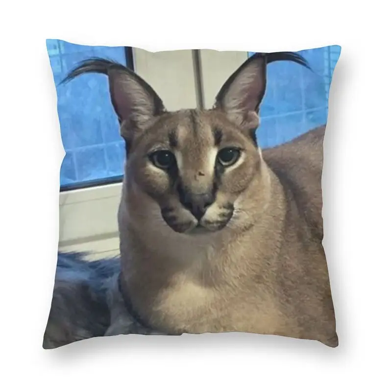 

Big Floppa Funny Meme Square Pillowcover Decoration Caracal Cat Cushions Throw Pillow for Sofa Double-sided Printing