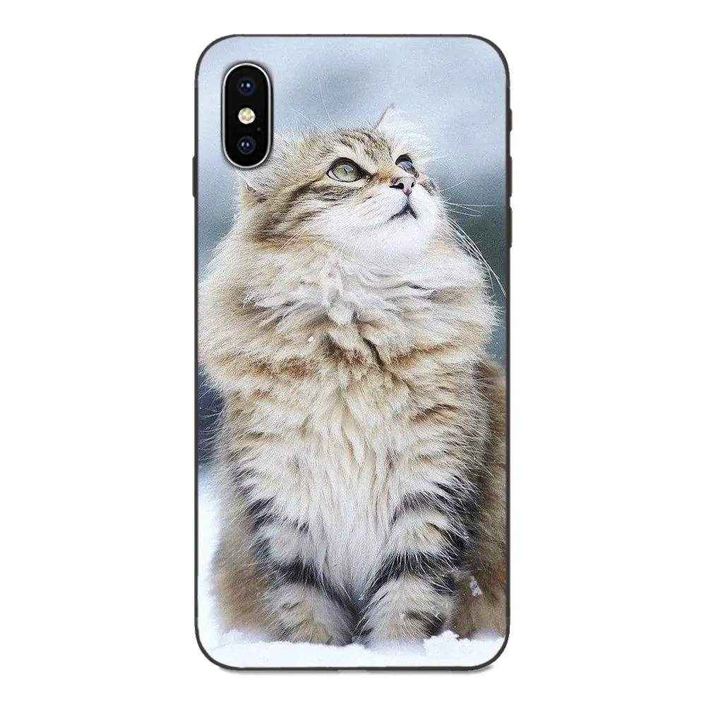 Животные кошки с очками для Galaxy C5 C7 J1 J2 J3 J330 J5 J6 J7 J730 M20 M30 Ace Core Max Мини плюс премьер