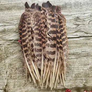 

Wholesale 44pcs A Set Rare 16-25cm/6-10inches Natural Pheasant Feathers For DIY Jewelry Craft Making Decoration