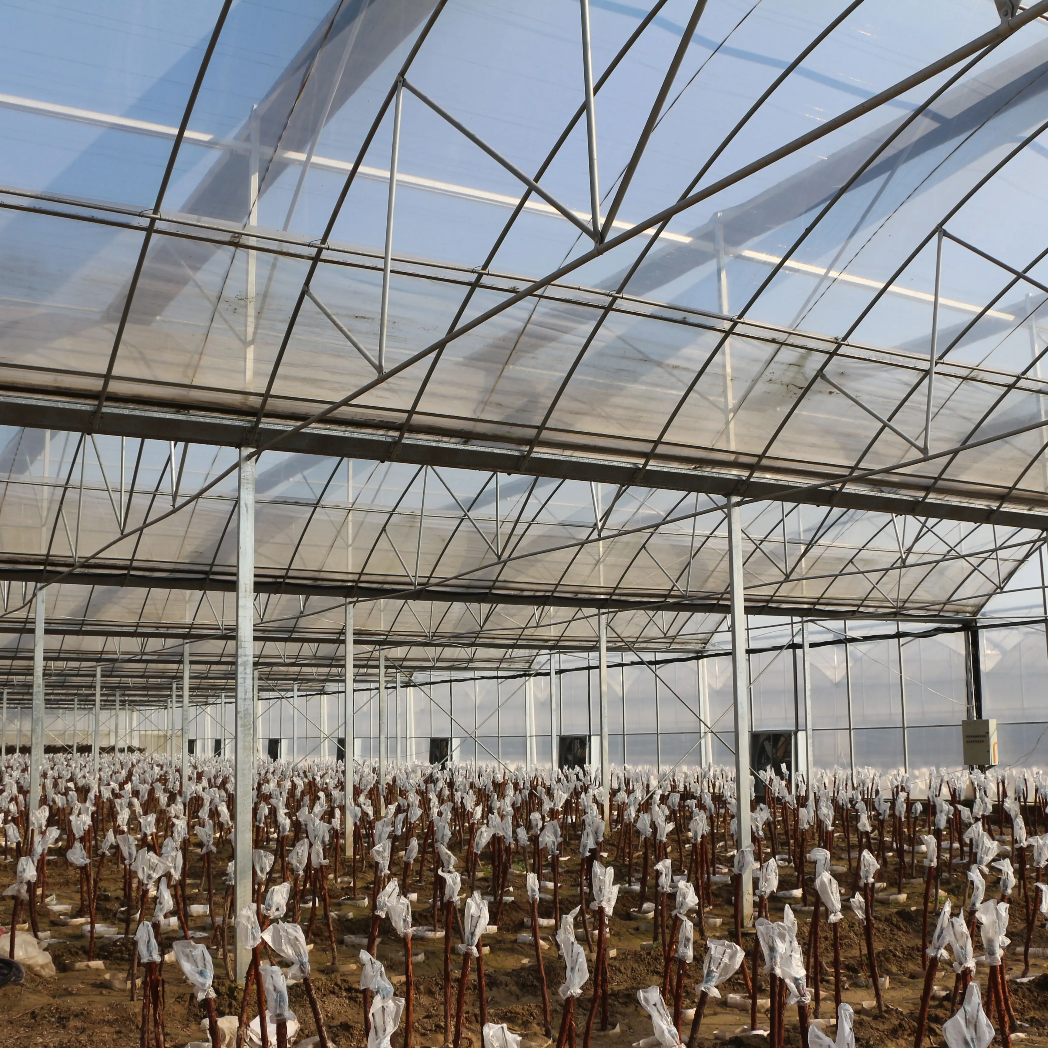 Рисунок 3 - 24 м * 32 м Коммерческая многопролетная