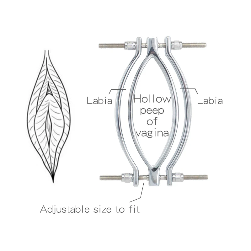 Hb8c862f7b7644f80b46b0487c92ef79dZ