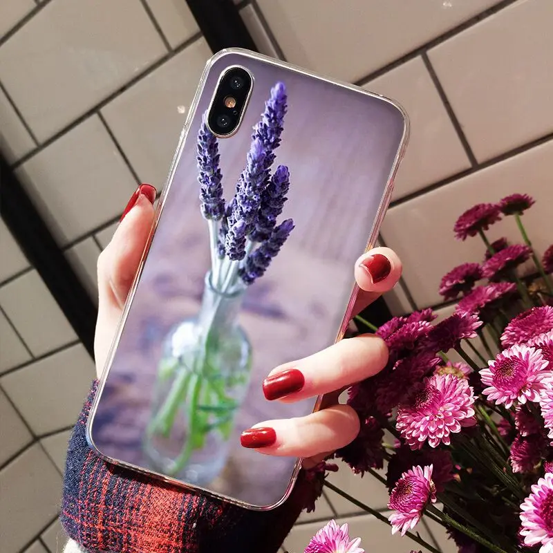 Simple lavender Purple flowers
