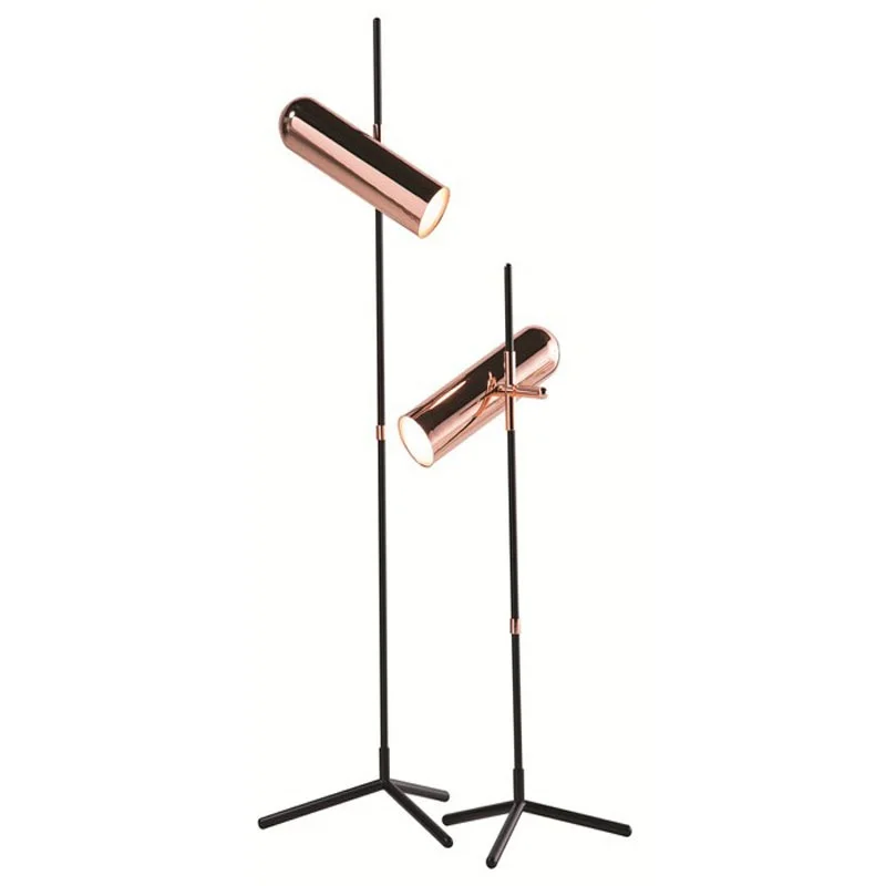 

Triangle Floor Lamp with Rose Gold LED Lights Head / Metal Rod