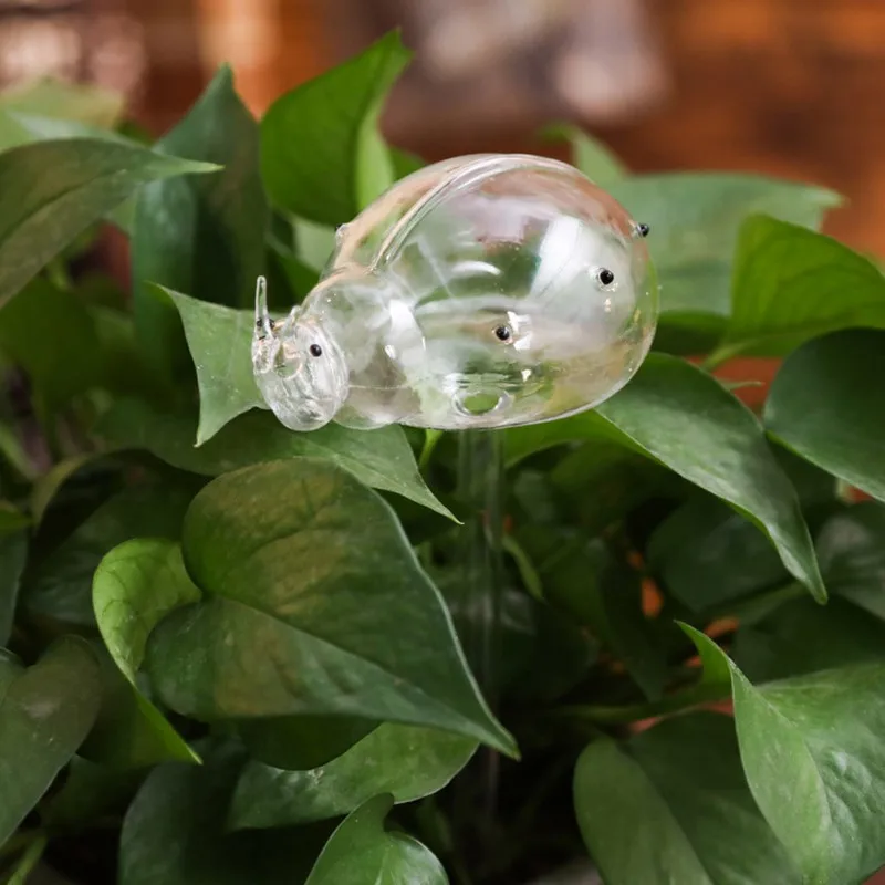 Новое комнатное растение автоматические самополивающиеся стеклянные птичьи лейки цветы растения декоративные из прозрачного стекла лейки устройства 12 форм - Цвет: b