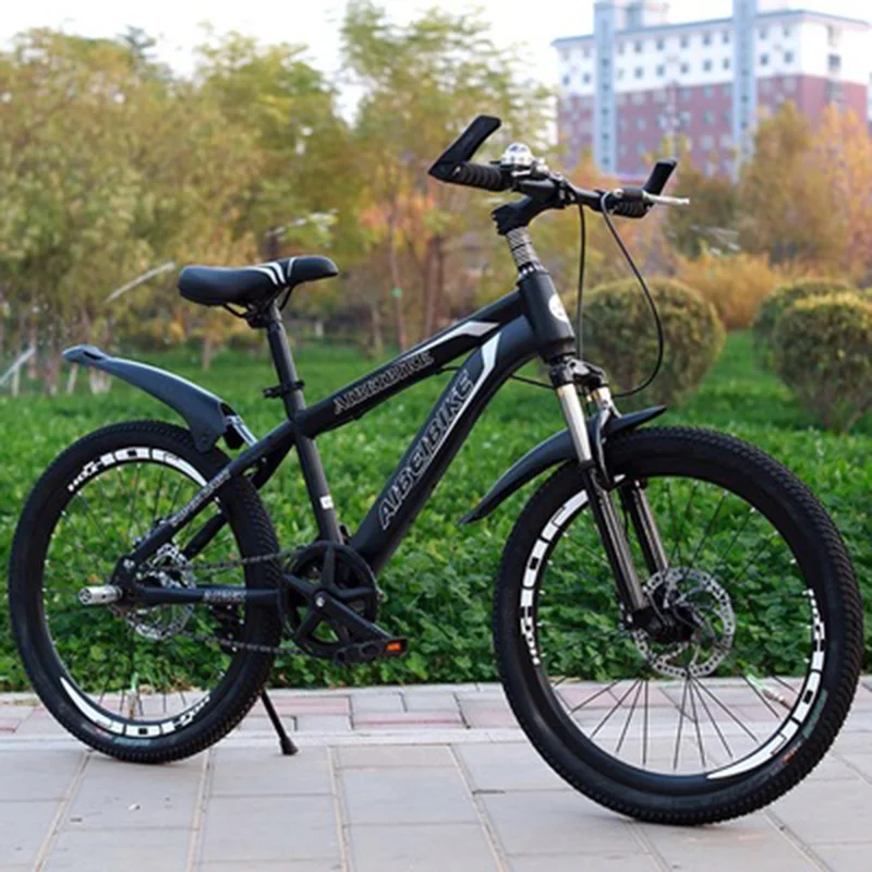 Adult Mountain Bike Single Speed Double Disc Brake Shock Absorber Student Mountain Bike 26 Inches