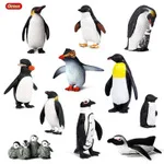 CHILDREN'S Toy Model Oceans Animal Model Ornaments Garage Kit Seabed Biological Squid Octopus Squid
