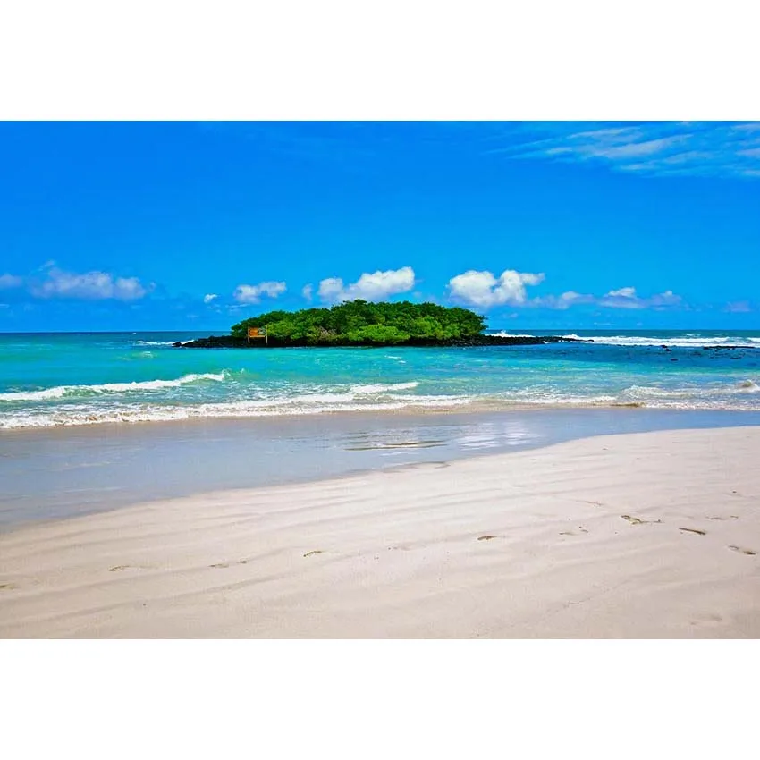 Tropical Beach and Sky Photography Backdrop