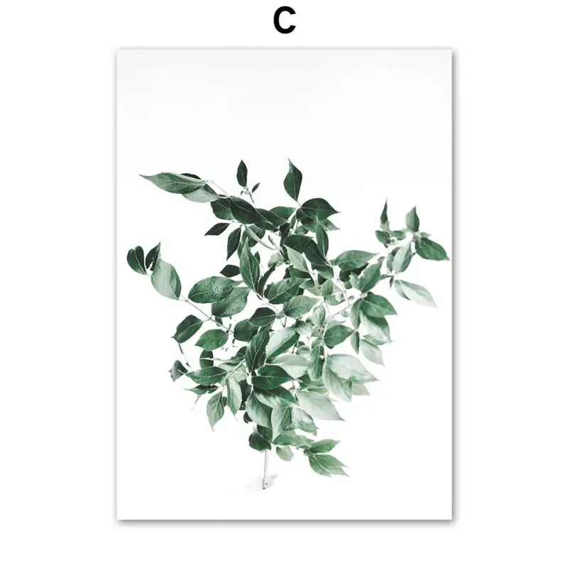 Wall-Art-Canvas-Painting-Cactus-Agave-Plant-Leaves-Abstract-Lines-Nordic-Posters-And-Prints-Wall-Pictures (5)