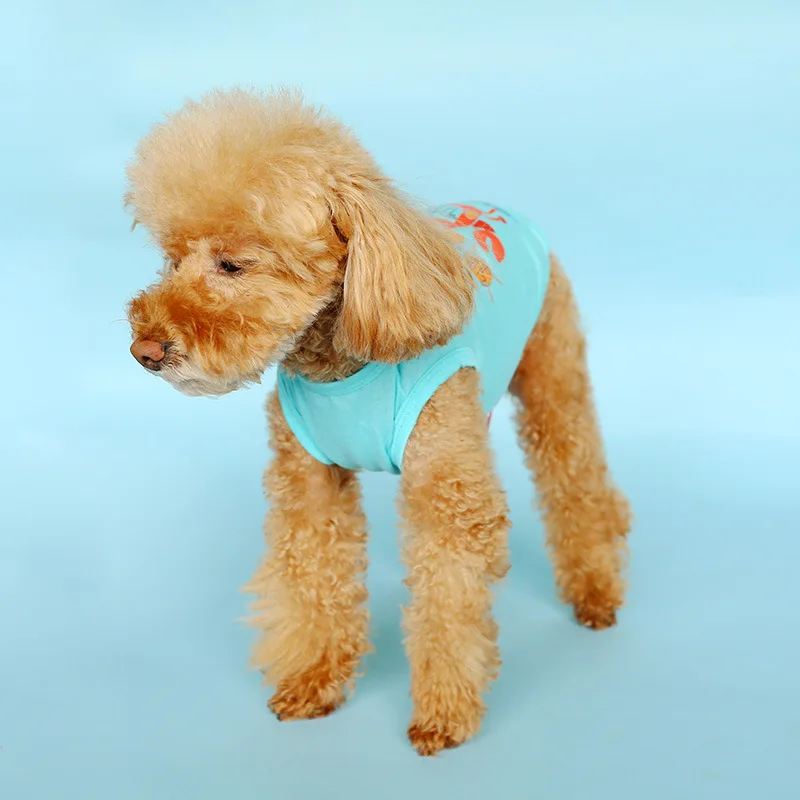 13639116498_1853267267