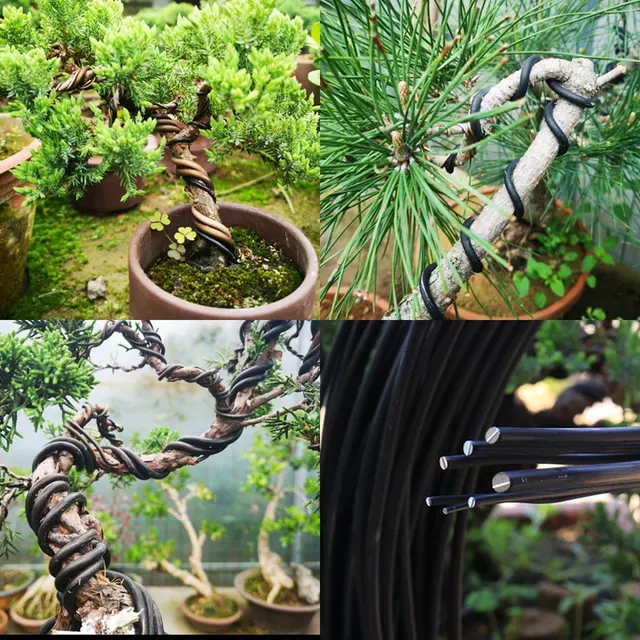 3Rroll Eloxált Alumínium Bonsai Edzőhuzal 10 Méretű Kertészeti Kiegészítőkkel (1 Mm, 1,5 2 2,5 3,3 Mmm.5 4 5 6 7 Mm) - Image 4