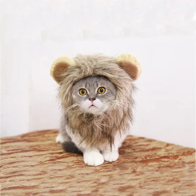 Необычные Наряжаться костюм для домашних питомцев, кошек Хэллоуин Одежда с принтом в виде собак Лев липучки грива парик с соблазнительными кошачьими ушками, фестиваль Наряжаться