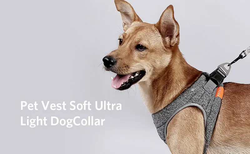 3cf33d5e-c4d5-4e2a-a667-0e0025cdf3c7.__CR0,0,970,600_PT0_SX970_V1___