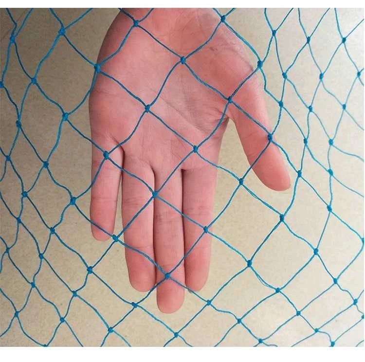 

10m Blue plastic mesh Wholesale garden fence mesh Plant vines climbing net A fence mesh Poultry breeding pheasant chicken fence