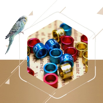 

50 Pcs Pigeon Bands Bird 5mm Foot Ring Species Identify Training Rings Pet Bird M0XD
