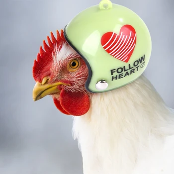 

Small Pet Poultry Bird Duck Headgear Creative Cute Graffiti Chicken Helmet Hat Bird Protect Cap Pet Supplies