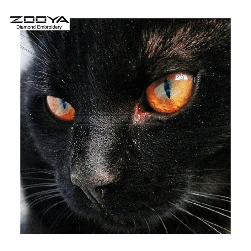 HTB1dGWUOXXXXXaYapXXq6xXFXXXN