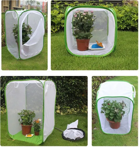 Insekten-Und Schmetterlings Habitat Kaefig Terrarien Auftauchen Fenster DE