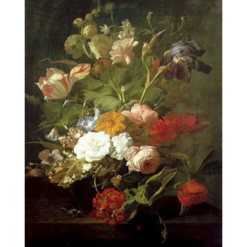 

SELILALI 40x50cm Framed Painting By Numbers Kits For Adults Unique Gift Flower In Vase Oil Picture By Number Home Decorations