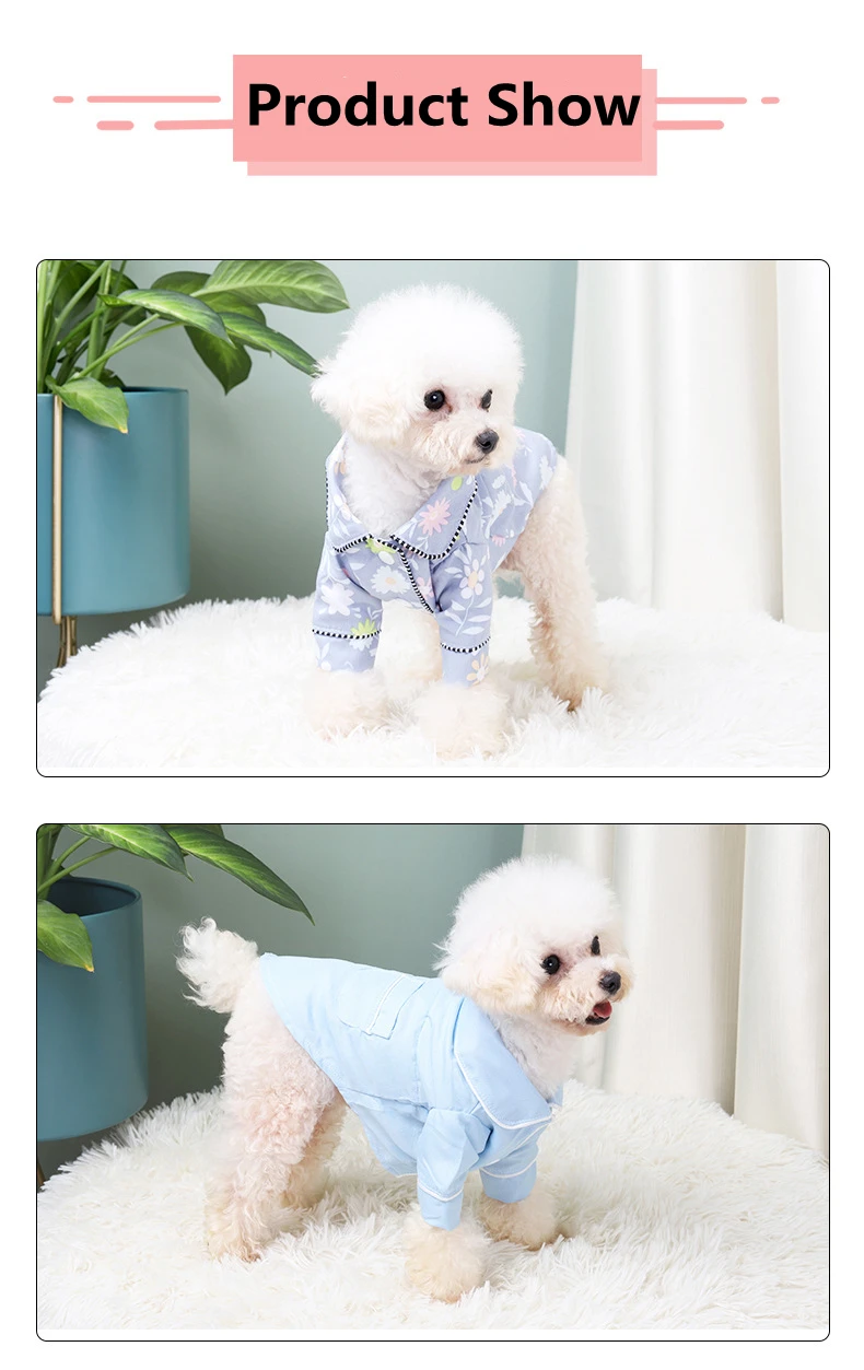 Melt Hearts With Cute Pajamas For Dogs