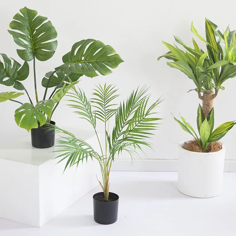 

multiple design simulation potted bamboo of curvature of the palm trees traveler banana olive false potted green plant