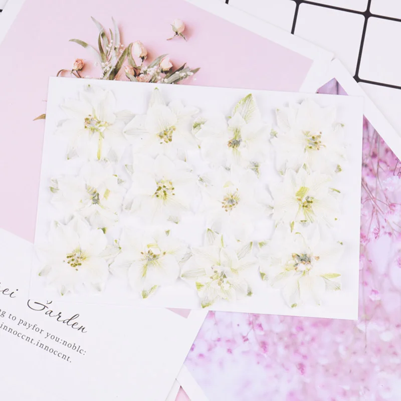 10354664400_448688674