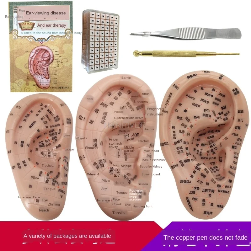 Auricular point stick ear model probe bean paste seed | Красота и здоровье