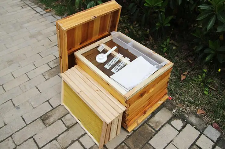 QQ截图20200131164654