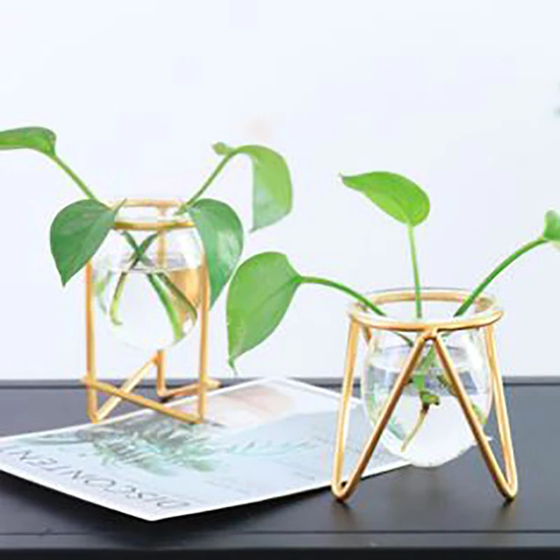 

Nordic Room Decoration Tie Art Hydroponic Glass Transparent Floret Water Plant Pot Web Celebrity Table Ornaments Small Ornaments