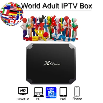 

X96 Mini Spain IPTV Europe 1 Year IPTV Subscription Android IPTV Belgium Dutch Italy Arabic IP TV X96mini box android tv box