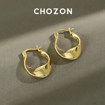 

Japanese S925 Sterling Silver Earrings ins2020 New Cool Scenery Twisted Earrings Joker Earrings