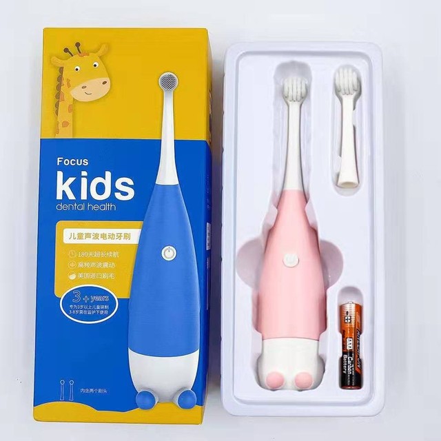 Electric Toothbrush Sonic IPX7 Waterproof Oral Care Dental Tool Replace Head USB Charging Intelligent Electric Toothbrush