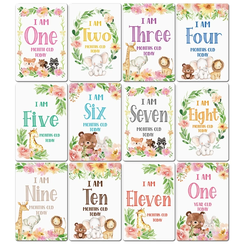 

12 Sheet Baby Boy Moment Cards - Great Gift for Baby Showers or New Parents to Capture Each Newborns Milestones