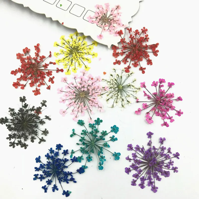 

12pcs/Bag Pretty Real Dried Flower Dry Plants for Epoxy Resin Pendant Necklace Jewelry Making Craft DIY Accessories New