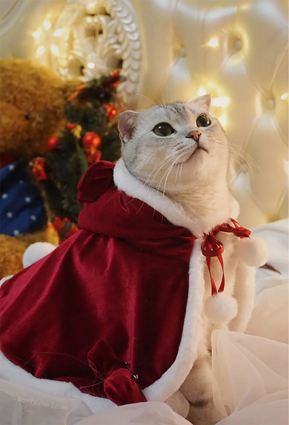 Novo engraçado roupas de natal para gato