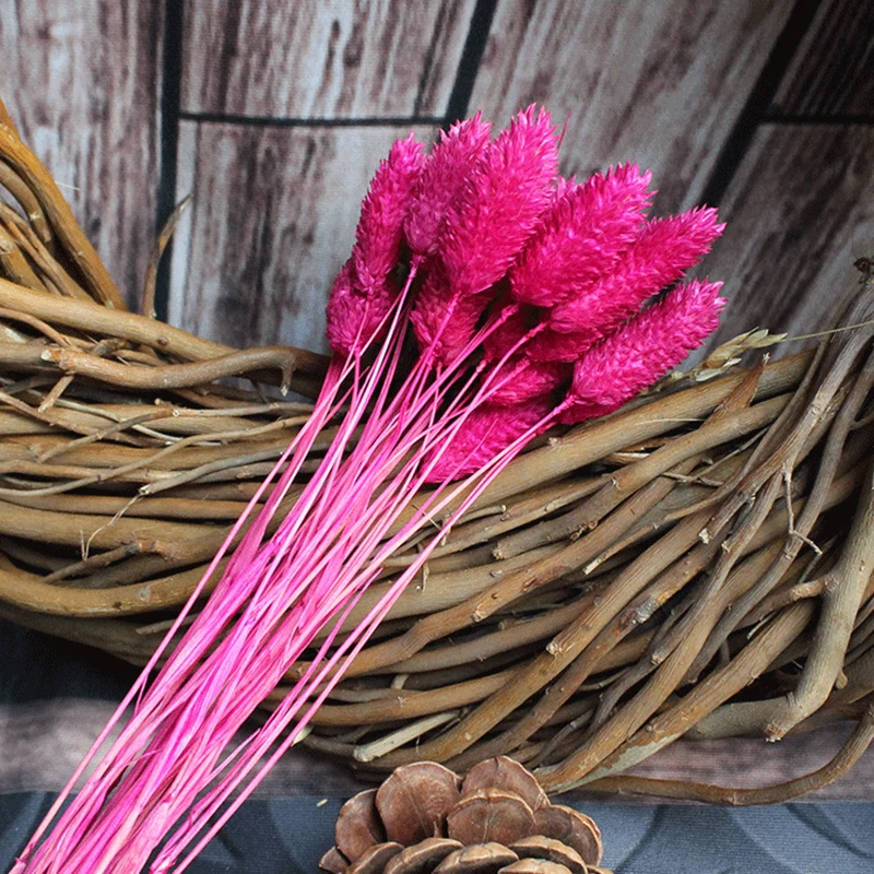 6089624296_1854372444