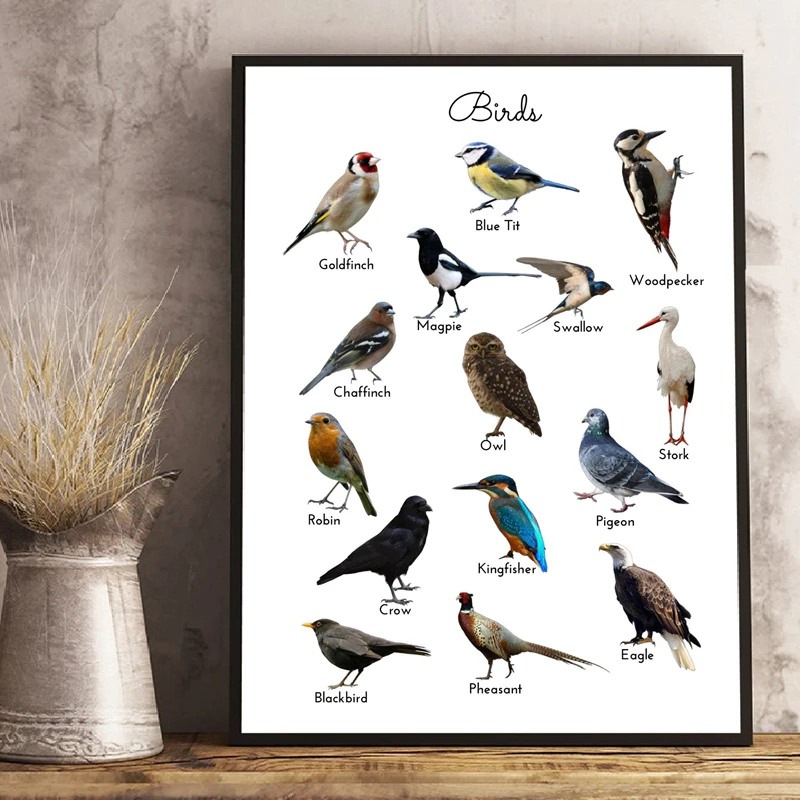 Motivering ubetinget element Birds Prints Animal Educational Poster Wall Art Canvas Painting Picture  Nature Study Learning Prints Kids Kindergarten Art Decor|Painting &  Calligraphy| - AliExpress