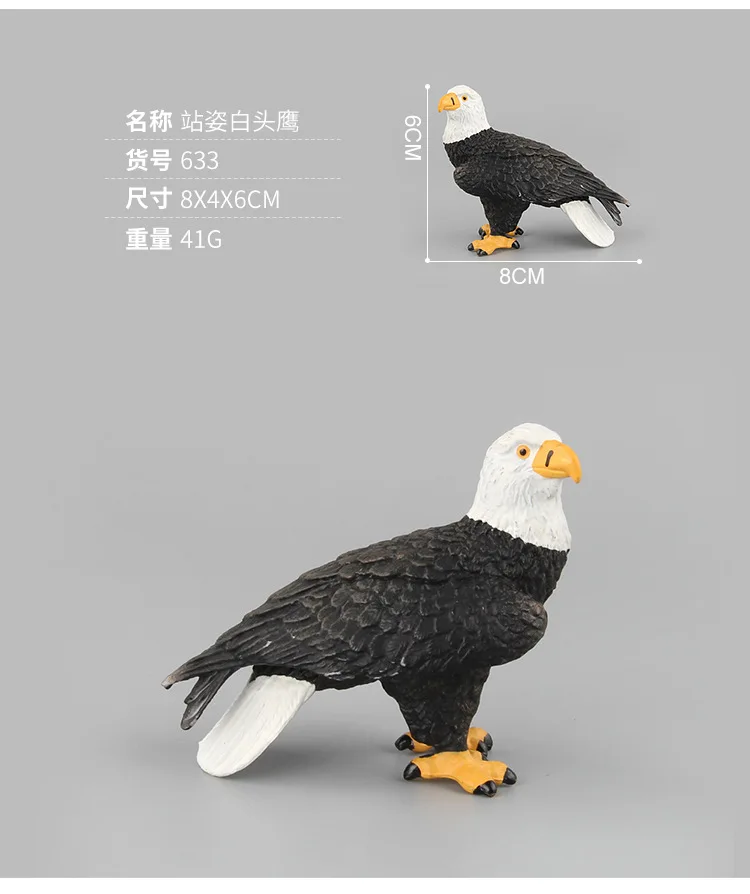 9114963290_920392923