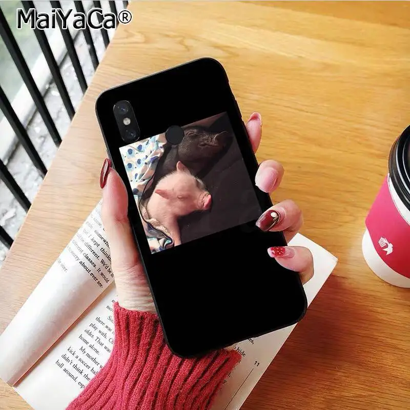 Couples Cartoon Lovely Pink Pet Pig
