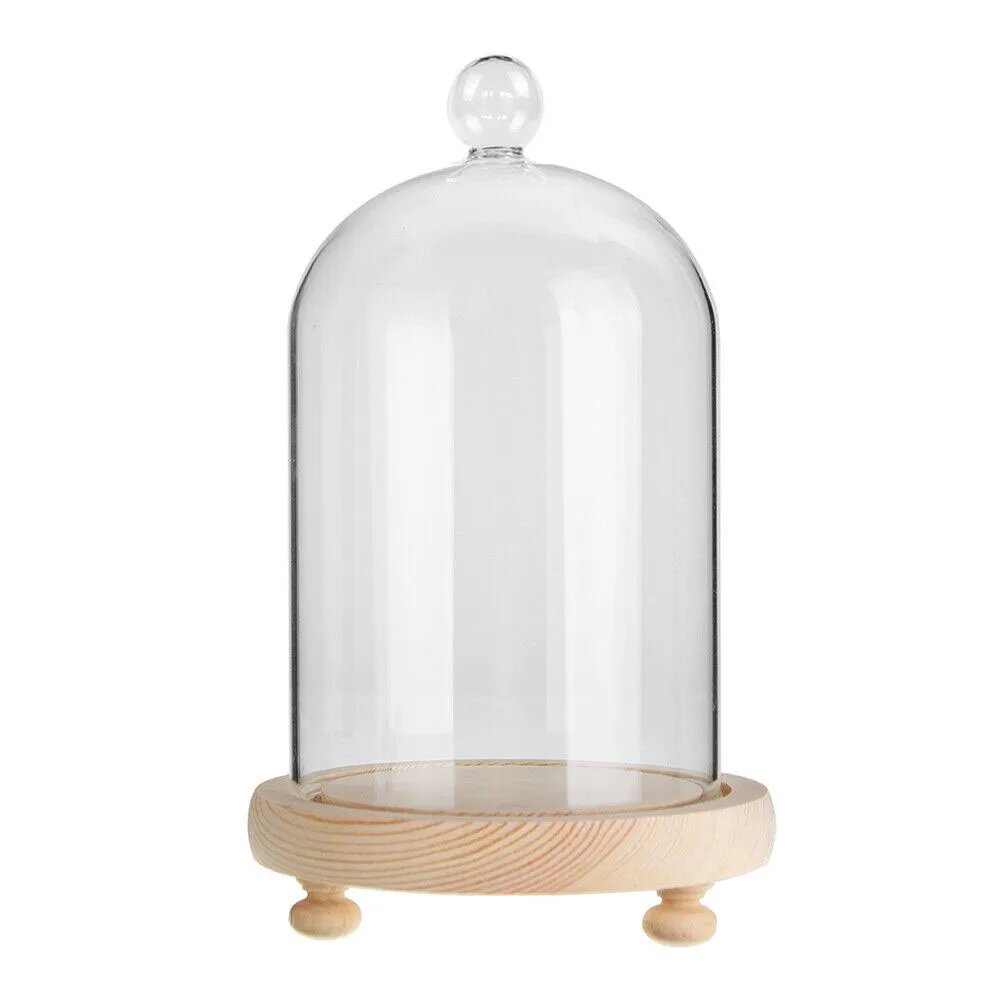 Decorative Glass Display Cloche Bell Jar Dome with Wooden Base Stand DIY 