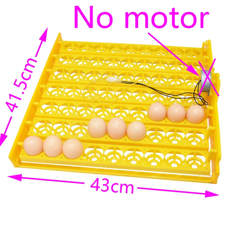 No motor
